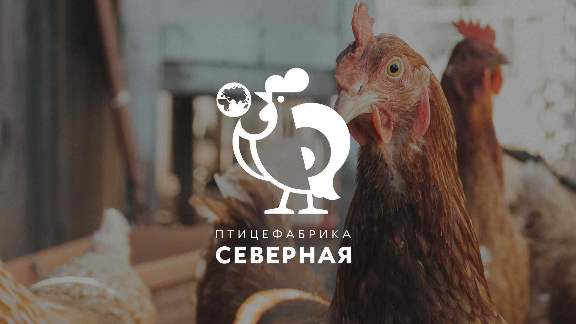 Птицефабрика «Северная» — Медийная реклама на Ozon — кейсы агентства Molinos