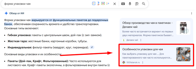 Google AI Overvirview